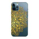 For iPhone 13 Pro Gradient Lace Transparent TPU Phone Case (Gold) - 1