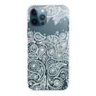 For iPhone 13 Pro Max Gradient Lace Transparent TPU Phone Case (White) - 1