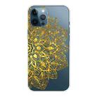 For iPhone 13 Pro Max Gradient Lace Transparent TPU Phone Case (Gold) - 1