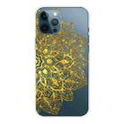 For iPhone 12 mini Gradient Lace Transparent TPU Phone Case (Gold) - 1