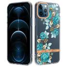 For iPhone 12 Pro Max Flowers and Plants Series IMD TPU Phone Case(Blue Rose) - 1