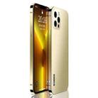 Stainless Steel Frame + PC Phone Case For iPhone 13 Pro(Gold) - 1