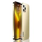 Stainless Steel Frame + PC Phone Case For iPhone 13 Pro Max(Gold) - 1