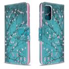 For Galaxy S20+ Colored Drawing Pattern Horizontal Flip Leather Case with Holder & Card Slots & Wallet(Plum Blossom) - 1