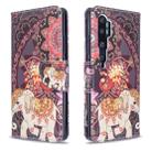 For Xiaomi CC9 Pro / Note 10 / Note 10 Pro Colored Drawing Pattern Horizontal Flip Leather Case with Holder & Card Slots & Wallet(Flower Elephant) - 1