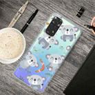 For Xiaomi Redmi Note 11 Pro 4G / 5G Global Painted Transparent TPU Phone Case(Koala) - 1