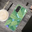 For Xiaomi Redmi Note 11 Pro 4G / 5G Global Painted Transparent TPU Phone Case(Banana Leaves) - 1