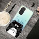 For Xiaomi Redmi Note 11 Global / Note 11S Painted Transparent TPU Phone Case(Black and White Rat) - 1