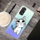 For Xiaomi Redmi Note 11 Global / Note 11S Painted Transparent TPU Phone Case(Tilted Head Cat) - 1