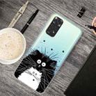 For Xiaomi Redmi Note 11 Pro 4G / 5G Global Painted Transparent TPU Phone Case(Black and White Rat) - 1