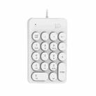 FOETOR ik6610 Mini Wireless Numeric Keyboard(White) - 1