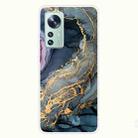 For Xiaomi 12 Pro Abstract Marble Pattern TPU Phone Case(Abstract Gold) - 1