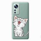 For Xiaomi 12 / 12X 5G Colored Drawing Pattern Highly Transparent TPU Protective Case(Laughing Cat) - 1