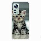 For Xiaomi 12 / 12X 5G Shockproof Painted Transparent TPU Protective Case(Sitting Cat) - 1