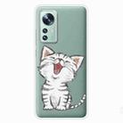 For Xiaomi 12 Pro Painted Shockproof TPU Protective Phone Case(Laughing Cat) - 1