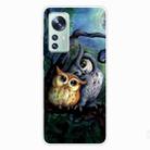 For Xiaomi 12 Pro Painted Transparent Shockproof TPU Protective Phone Case(Owl) - 1