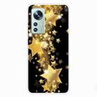 For Xiaomi 12 Pro Painted Transparent Shockproof TPU Protective Phone Case(Gold Star) - 1