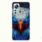 For Xiaomi 12 Pro Painted Transparent Shockproof TPU Protective Phone Case(Blue-ray Eagle) - 1