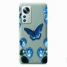 For Xiaomi 12 Pro Painted Transparent Shockproof TPU Protective Phone Case(Dream Butterfly) - 1