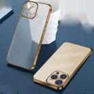 Wing Plating Series Semi-transparent Frosted Phone Case For iPhone 12(Gold) - 1