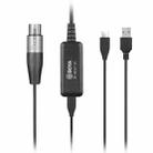 BOYA BY-BCA7 UC XLR to USB + Type-C / USB-C Microphone Adapter Cable(Black) - 1