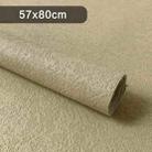 57 x 80cm 3D Diatommud Texture Photography Background Cloth Studio Shooting Props(Beige Gold) - 1