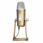 BOYA BY-PM700G USB Interface Condenser Microphone(Gold) - 1