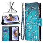 For Motorola Moto G31 / G41 Colored Drawing Pattern Zipper Leather Phone Case(Plum Blossom) - 1
