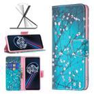 For OPPO Realme 9 Pro+ Colored Drawing Pattern Leather Phone Case(Plum Blossom) - 1