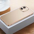 For iPhone 12 Frosted Phone Case with Lens Protection(Gold) - 1