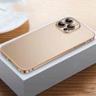 For iPhone 12 Pro Max Frosted Phone Case with Lens Protection(Gold) - 1