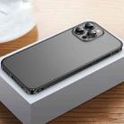 For iPhone 12 Pro Max Frosted Phone Case with Lens Protection(Black) - 1