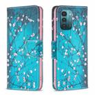 For Nokia G21 / G11 Colored Drawing Pattern Horizontal Flip Leather Phone Case(Plum Blossom) - 1