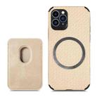 For iPhone 11 Pro Max Carbon Fiber Leather Card Magsafe Case (Khaki) - 1