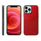 For iPhone 12 Pro Max Crocodile Top Layer Cowhide Leather Case(Red) - 1