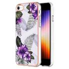 For iPhone SE 2022 / SE 2020 / 8 / 7 Electroplating IMD TPU Phone Case(Purple Flower) - 1
