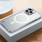 For iPhone 13 Pro MagSafe Magnetic Frosted Case (Silver) - 1