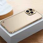 For iPhone 13 Pro Max Metal Frame Frosted Case (Gold) - 1