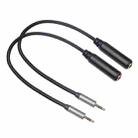 2 PCS/Pack 3662B-02-03 3.5mm Male to 6.35mm Female Audio Cable - 1