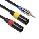 TC194BUXK108YR-30 3.5mm Male to Dual Canon Male Audio Cable, Length: 3m - 1
