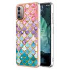 For Nokia G21 / G11 Electroplating IMD TPU Phone Case(Colorful Scales) - 1