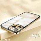 For iPhone 12 Pro AG Frosted Glass Phone Case(Gold) - 1