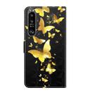 For Sony Xperia 1 II 3D Painting Pattern TPU + PU Leather Phone Case(Gold Butterfly) - 3