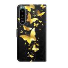 For Sony Xperia 5 II 3D Painting Pattern TPU + PU Leather Phone Case(Gold Butterfly) - 3