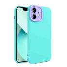 Eagle Eye Lens Oily Feel TPU + PC Phone Case For iPhone 12(Light Green) - 1