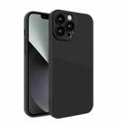 Eagle Eye Lens Oily Feel TPU + PC Phone Case For iPhone 12 Pro Max(Black) - 1