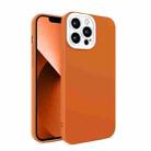 For iPhone 13 Pro Eagle Eye Lens Oily Feel TPU + PC Phone Case (Brown) - 1