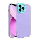 For iPhone 13 Pro Max Eagle Eye Lens Oily Feel TPU + PC Phone Case (Purple) - 1