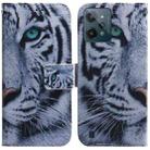 For OPPO Realme C31 Coloured Drawing Leather Phone Case(Tiger) - 1