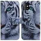 For Infinix Hot 10 X682 Coloured Drawing Leather Phone Case(Tiger) - 1